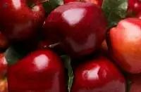 Fresh Gala Apples - Premium Export Quality