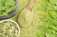 Organic Moringa Powder