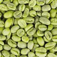 Premium Green Coffee Beans - Unroasted