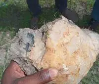 Lithium Spodumene/Kunzite Ore