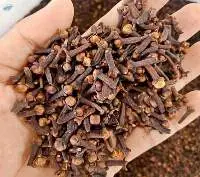 Cloves