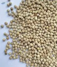 White Pepper