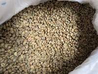 Robusta Green Coffee Bean