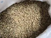 Robusta Green Coffee Bean