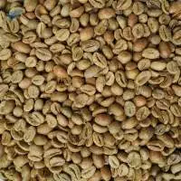 Robusta G1 Coffee Beans