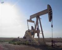 D2 Gas Oil