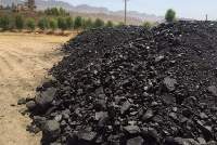 PET Coke  - Petroleum Coke