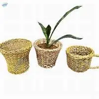 Ariana Basket