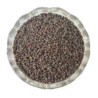 Mustard Seeds