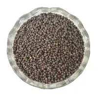 Mustard Seeds