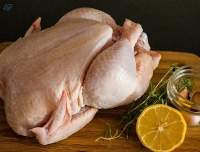 Processed Chicken Cuts Bulk Supply