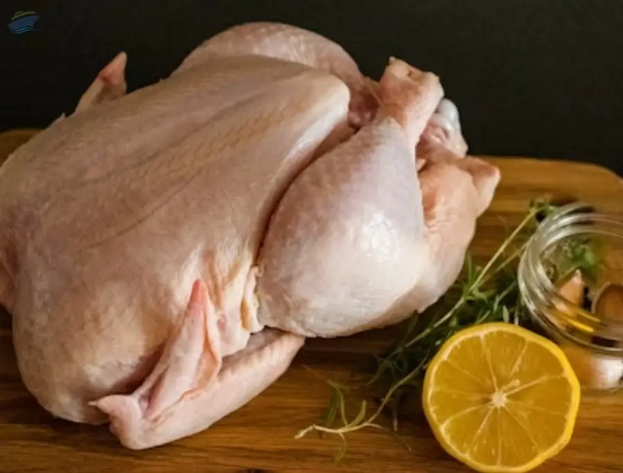 Processed Chicken Cuts Bulk Supply