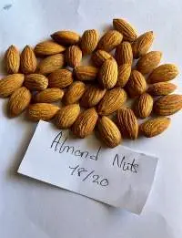 Almonds Nuts