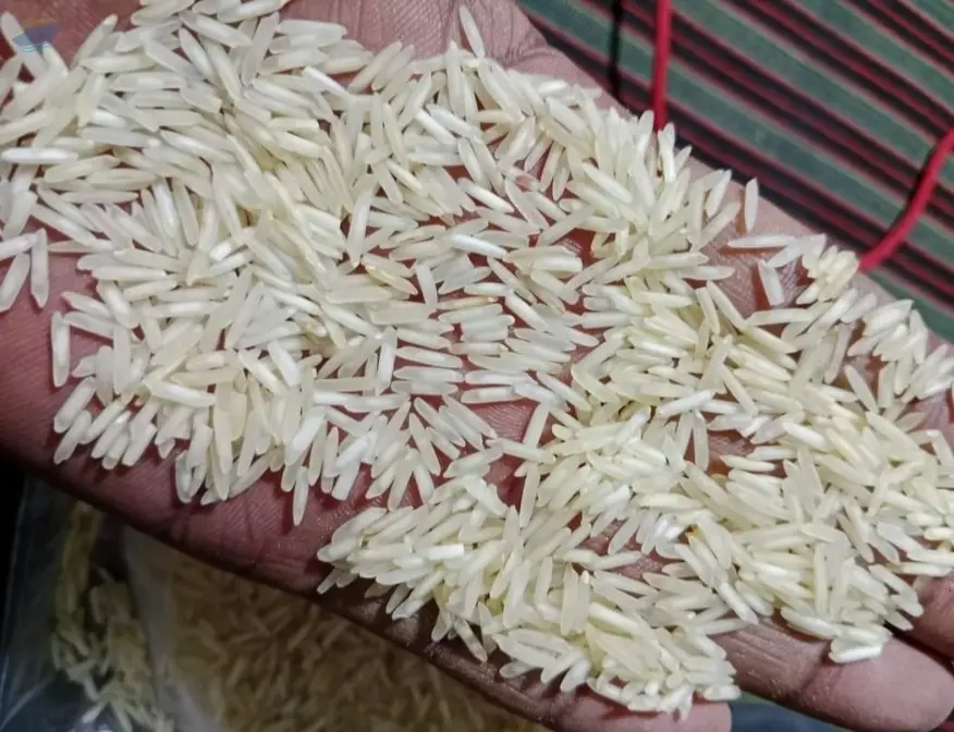 1121 Steam Sella Basmati Rice