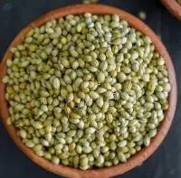 Coriander Seeds