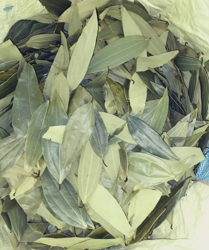 Bay Leaves