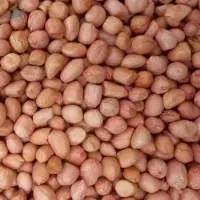 Peanuts