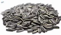 Sunflower Seeds