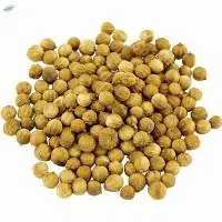 Coriander seeds