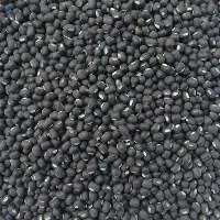 Black matpe beans