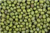 Green Moong bean