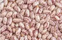 Red Speckled Beans