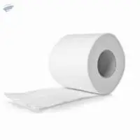 Toilet Paper