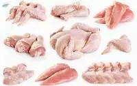 Premium frozen Chicken Breast Boneless Skinless