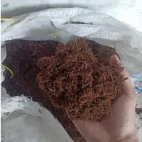 Cocopeat - Cocopeat Block
