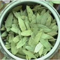 Senna Leaves