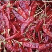 Dry Red Chilli