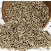 Dill Seeds