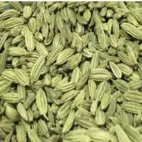 Fennel Seeds