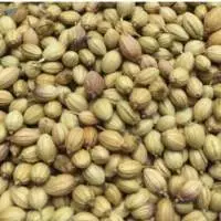 Coriander Seed