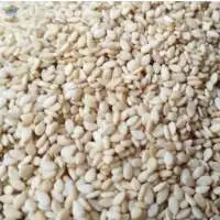 Natural White Sesame Seeds