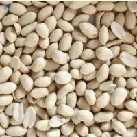 Blanched Peanuts