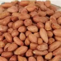 Bold Peanuts