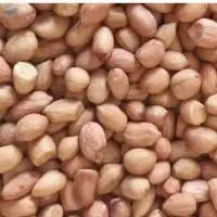 TJ Peanuts