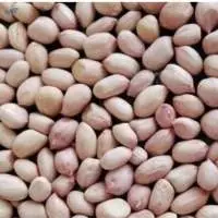 Java Peanuts
