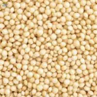 Amaranth