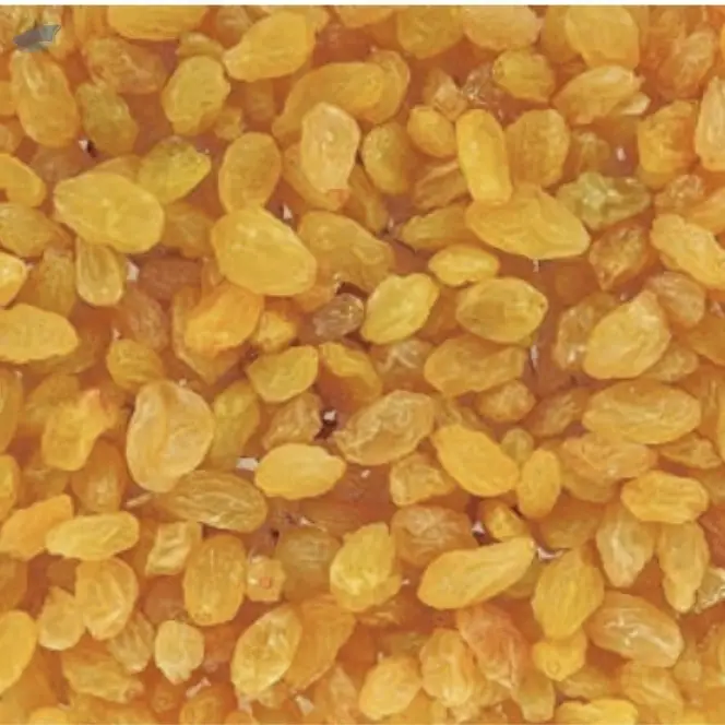 Golden Raisins