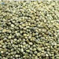 Green Millets
