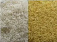 IR 64 Rice
