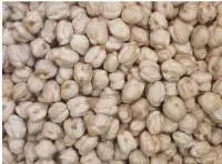 Chickpeas / Kabuli Chana