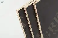 Film Faced Plywood Poplar Core