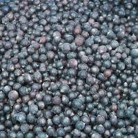 IQF Frozen Black Currant