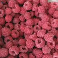 IQF Frozen Raspberry whole