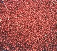 IQF Frozen Lingonberry