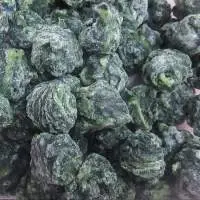 IQF Frozen Spinach leaf ball
