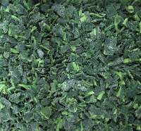 IQF Frozen Spinach leaf cut